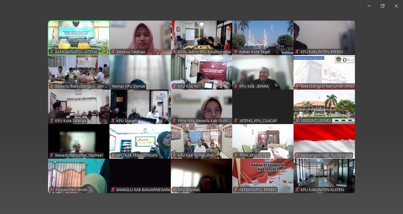 kegiatan sistem implementasi pemilu /pilkada